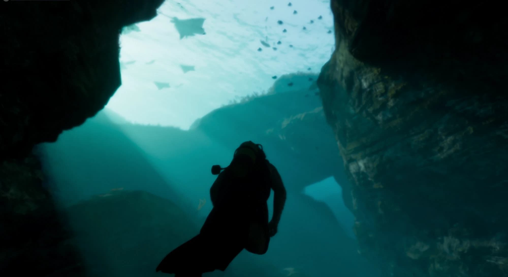 Un plongeur en silhouette dans une grotte sous-marine, des raies passent au-dessus